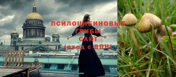 бошки Абинск