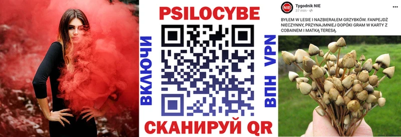 закладки  Зеленогорск  Галлюциногенные грибы MAGIC MUSHROOMS 